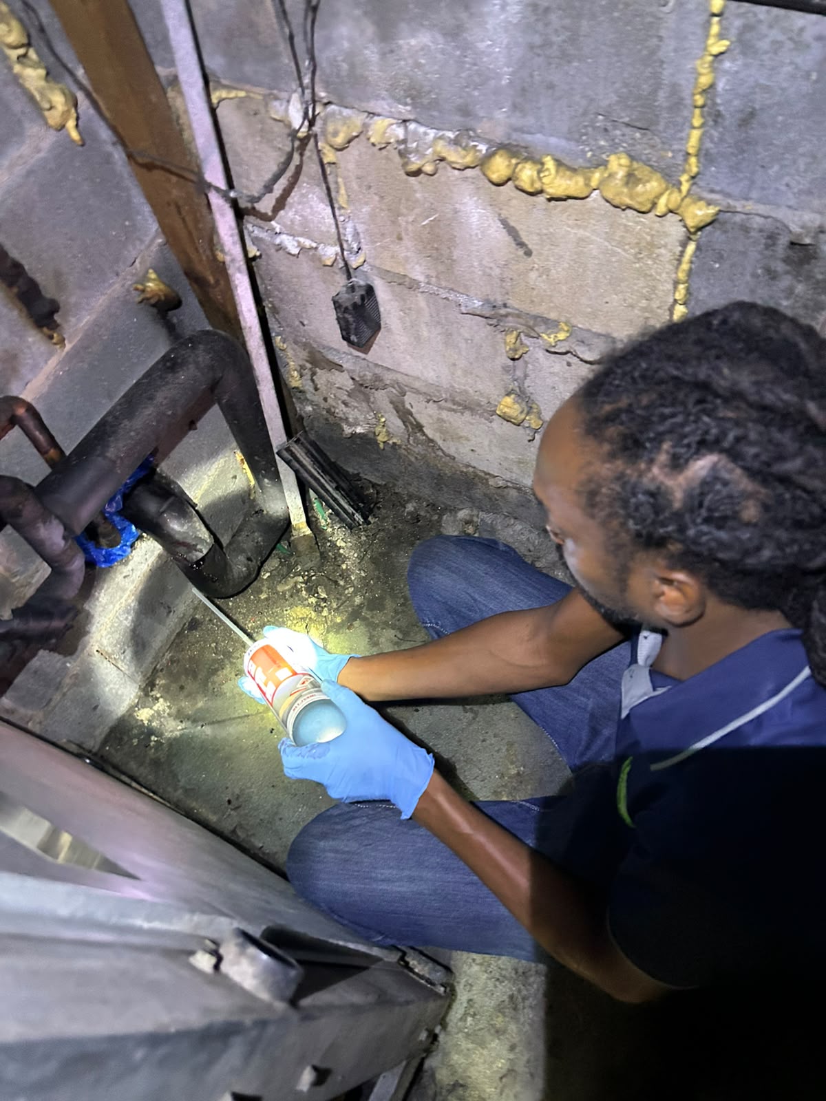 JR Pest Control work photo