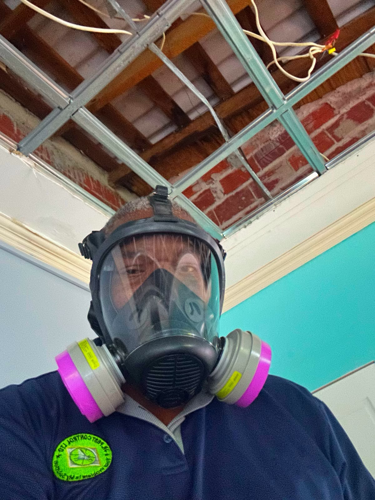 JR Pest Control work photo