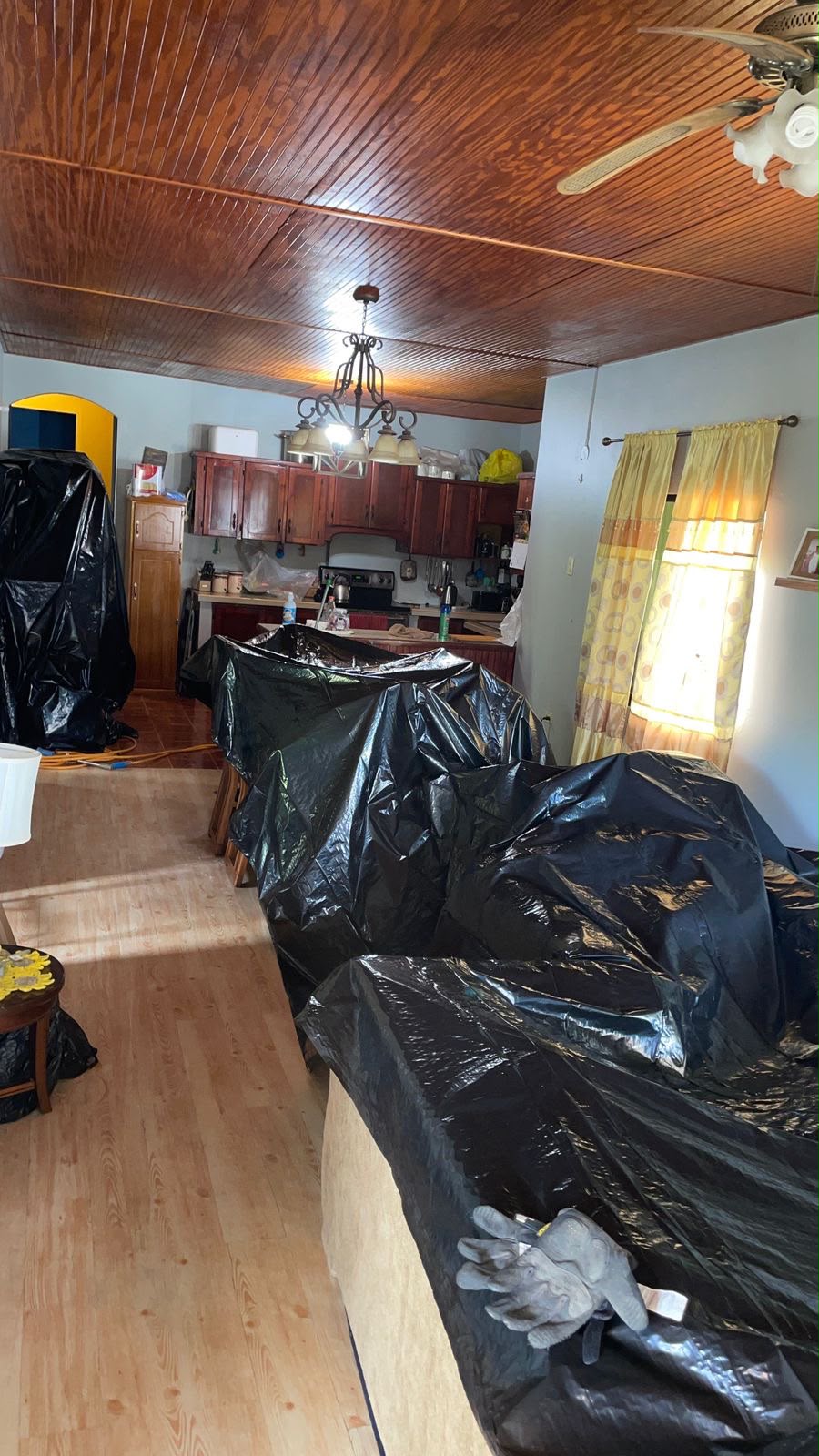 JR Pest Control work photo