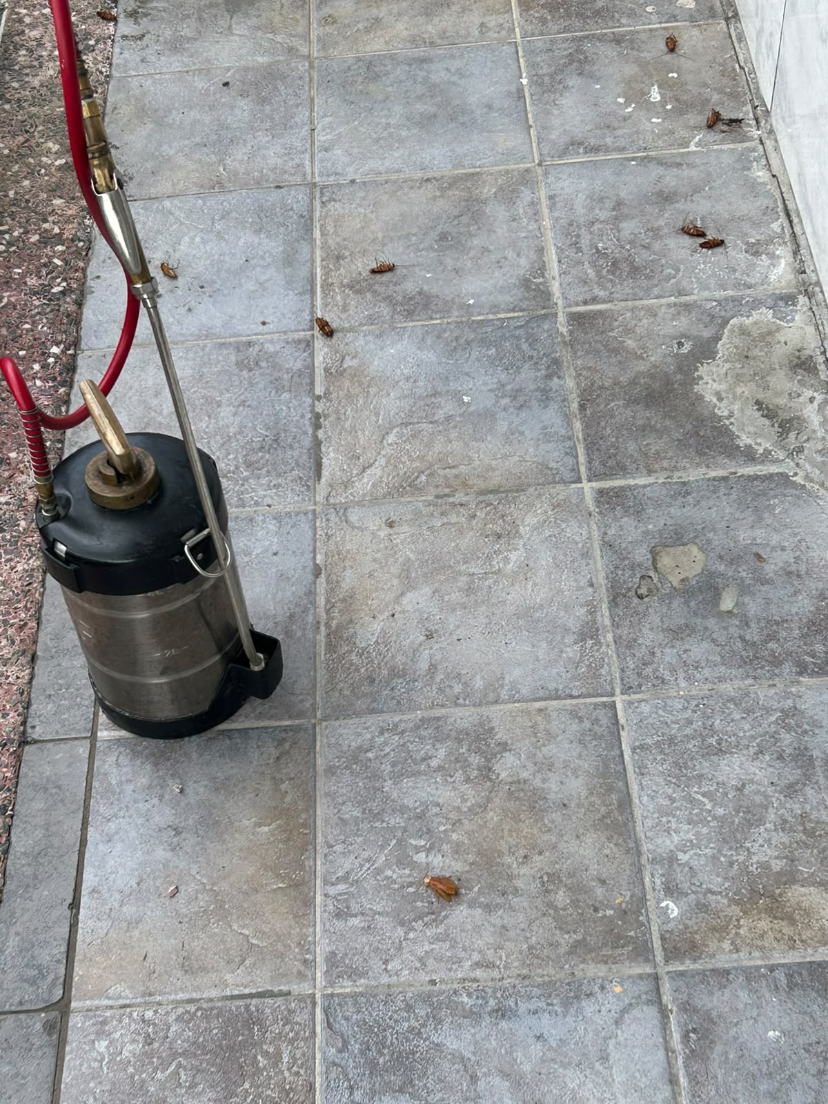 JR Pest Control work photo