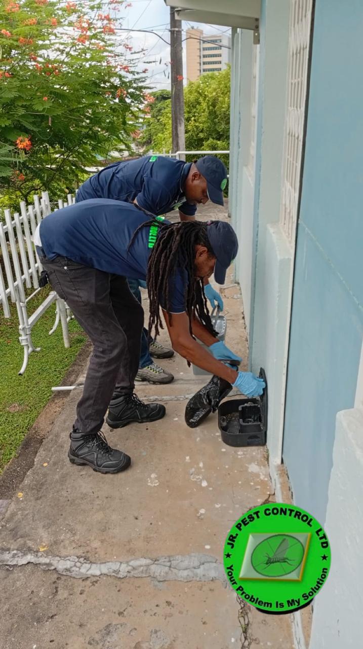 JR Pest Control work photo