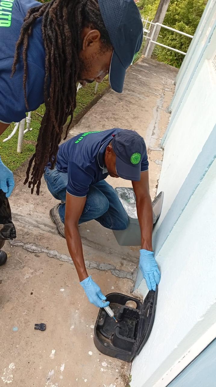 JR Pest Control work photo