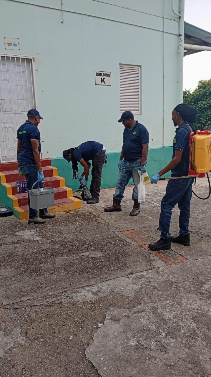 JR Pest Control work photo
